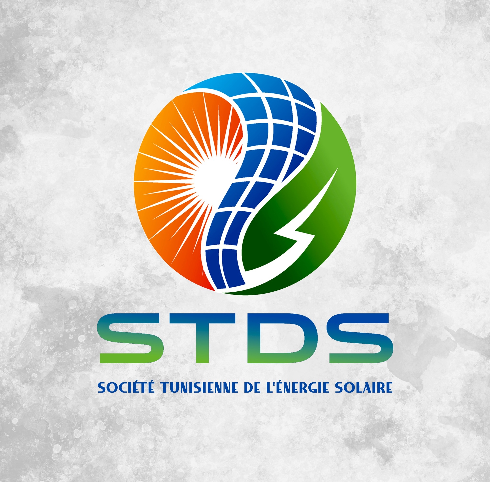 STDS Logo